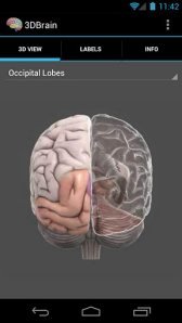 download 3D Brain apk
